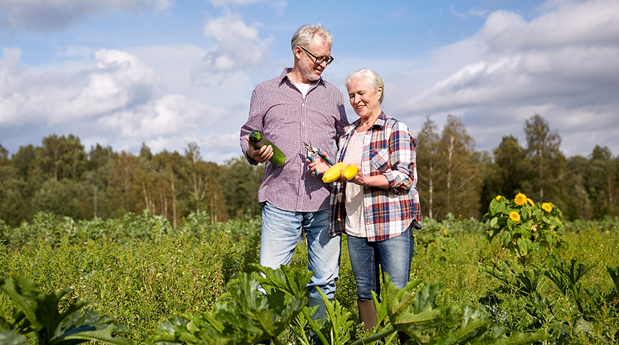 The sooner a plan is in place for retirement, the better. But all plans need routine attention. That’s where we play a key role.

Participation in retirement plans such as 401k and other tax-deferred strategies can be key to a successful retirement. However, most plan participants are left in the dark and remain confused about their retirement plans. Often, choices about where to invest are left to the “water cooler” conversation, which lacks qualified professional consultation about managing plan assets. Plan participants need:

Assessment of appropriate levels of risk
Performance analysis of potential investment choices
Selection of investments with an keen eye towards economic and market conditions
Supervised rollover of assets from previous retirement plans
ASK US TO HELP YOU CHOOSE INVESTMENTS FOR YOUR 401(k) or OTHER RETIREMENT PLAN
The vast majority of 401k and other retirement plan sponsors, and the employers who engage them don’t give personal advice and don’t take serious responsibility to help employees. This leaves a big “guidance gap.” This guidance gap leaves vulnerabilities that may lead to failure of plan participants to properly select from among investment options in a timely fashion. When this continues over time, lack of professional guidance can lead to unfortunate outcomes later in life when it’s too late to fix the problem.
It is our role to help you transform potential weaknesses into strengths.

When we are engaged to help you sort out your retirement strategy and the underlying investments available to you, our function is to enhance your confidence and effectiveness.
